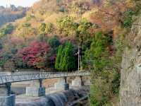 Fall in Nunobiki Park