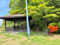 Tenjinyama Ryokuchi Park