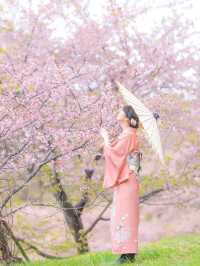 早咲きの桜と富士を望む『おおいゆめの里』🌸
