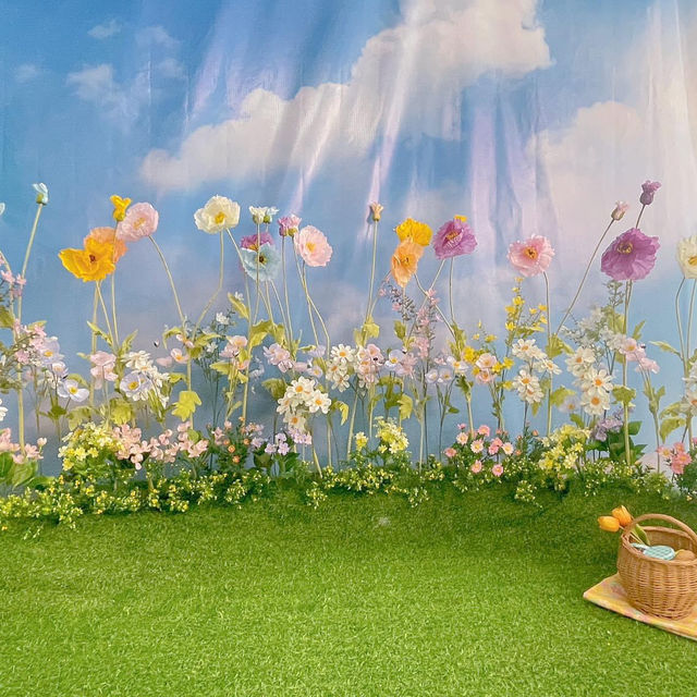 ♡𝑴𝒊𝒔𝒕𝒆𝒓𝒉𝒐𝒕𝒅𝒐𝒈 & 𝑫𝒆𝒔𝒔𝒆𝒓𝒕🌷⛅️ 