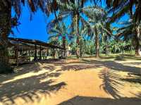 Krabi Elephant House Sanctuary
