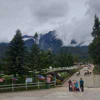 WinHKFlight Kundasang Desa Dairy Farm🐄