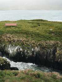 🇮🇸冰島東部 Borgarfjörður Eystri 🪹Puffins嘅集中地