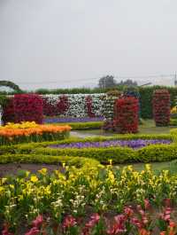 Flowers All Year Round