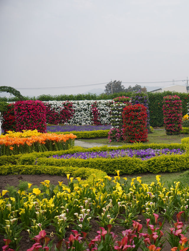 Flowers All Year Round