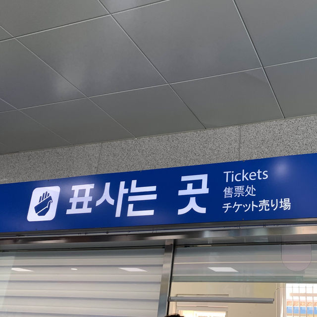 정동진 효도여행 강추 코스!