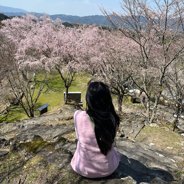 Day Trip To Mt Yoshino