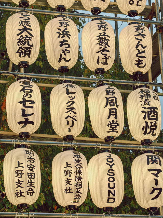 東京｜上野公園 櫻花盛開 日韓春天好去處🌸