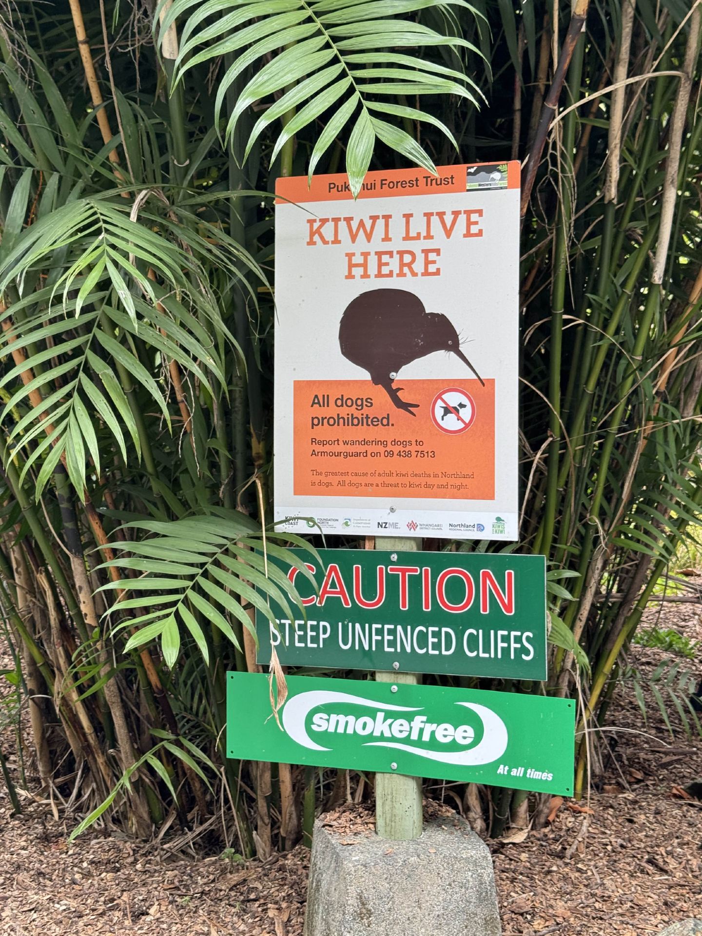 Free admission to Whangarei Quarry Gardens