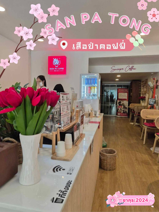 เสือป่าคอฟฟี่ | สันป่าตอง จ.เชียงใหม่