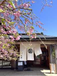 【大山阿夫利神社／神奈川県】標高約700m相模湾を眺めながら贅沢スイーツ