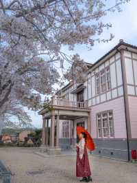 築100年 大正ロマンの世界へ『四郷郷土資料館』🌸