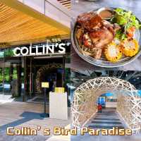 Collin’s Western Cuisines Mandai Wildlife West
