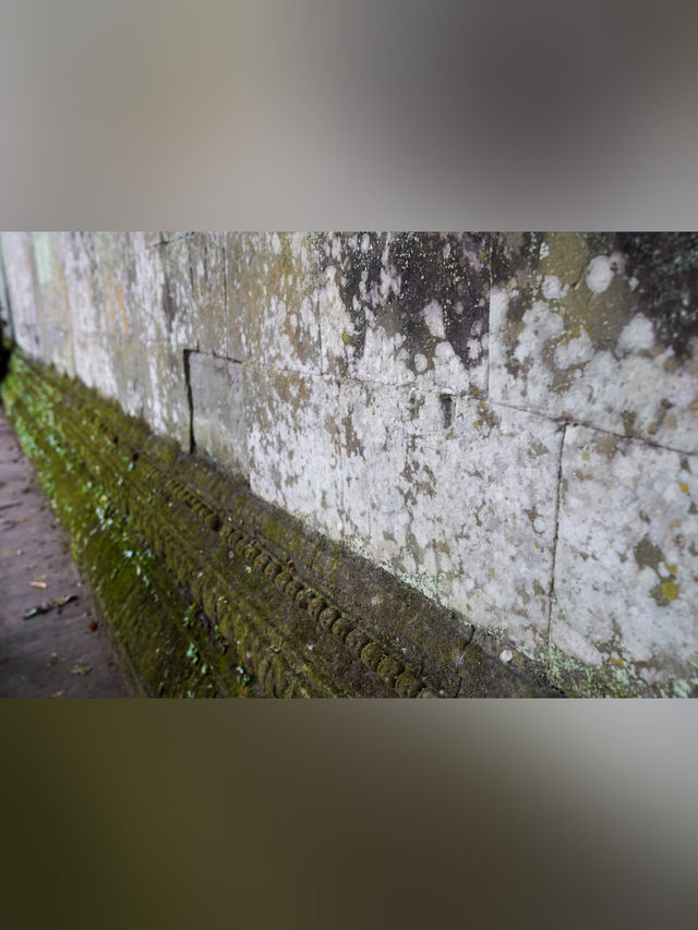 【カンボジア・シェムリアップ】ベンメリア遺跡〘観光〙