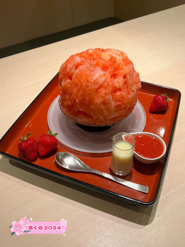 【福岡カフェ】ふっくらまんまるなふわふわかき氷がたまらない