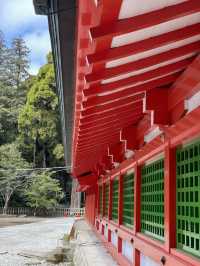 【鹿児島】国宝・霧島神宮