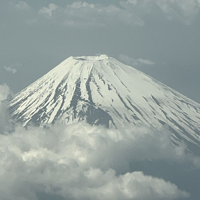 飛機上看富士山🗻