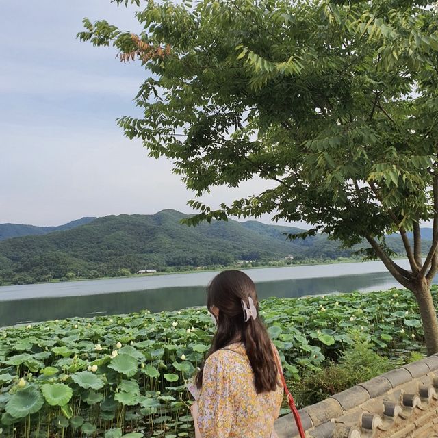 양평 두물머리에서 즐기는 봄데이트!