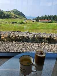 🍊🏡제주 유채꽃 명소 소색채본 카페