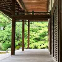 「普門院」古老文化底蘊～靈感與寧靜