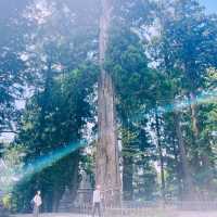 【長野県/ 戸隠の三本杉に囲まれた神秘的な戸隠中社⛩️】