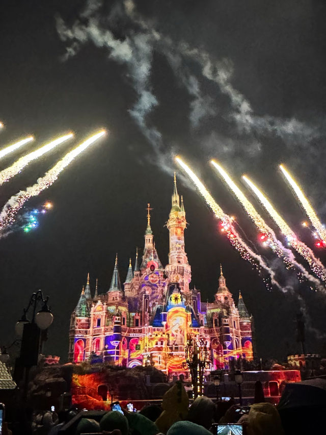 🎆 Into the world of Disney