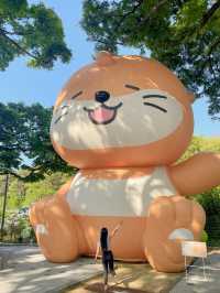 대구 자연속 힐링 자연요가체험!!
