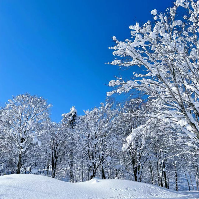 熊城滑雪場～完美滑雪天堂