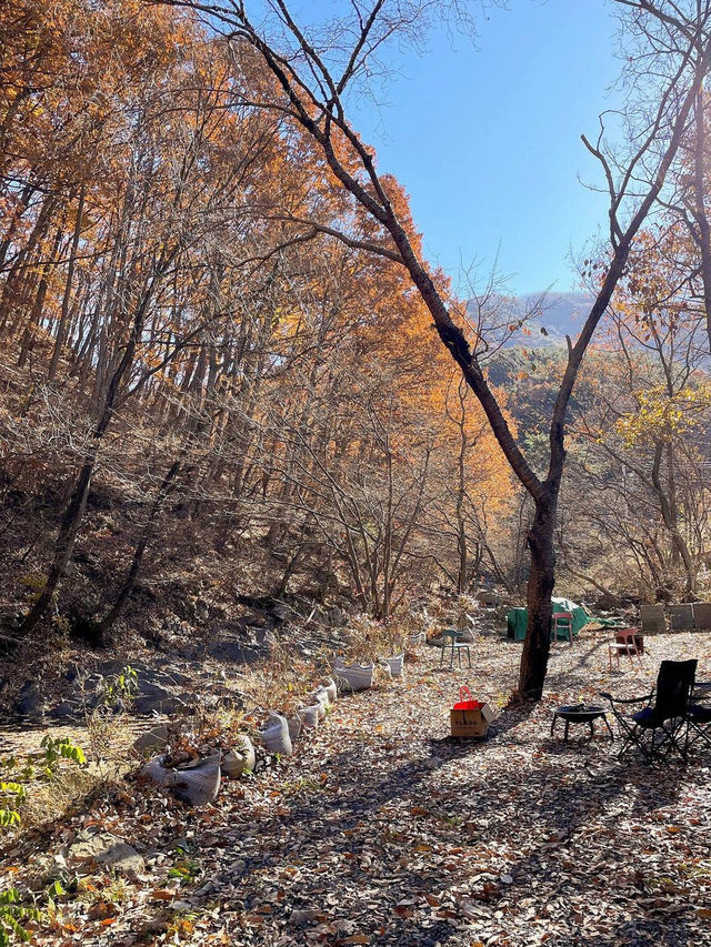 🍂단풍뷰와 계곡뷰를 동시에 볼 수 있는 곳!