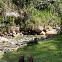 Escape to Spring Garden Kundasang 