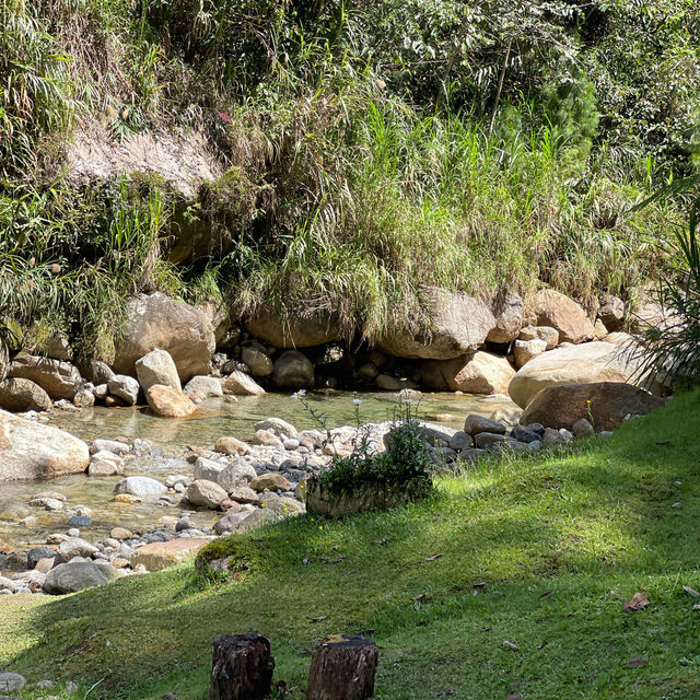 Escape to Spring Garden Kundasang 