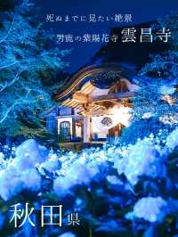 ここ知ってる？？【死ぬまでに見たい絶景】男鹿の紫陽花寺　雲昌寺🫧🫧