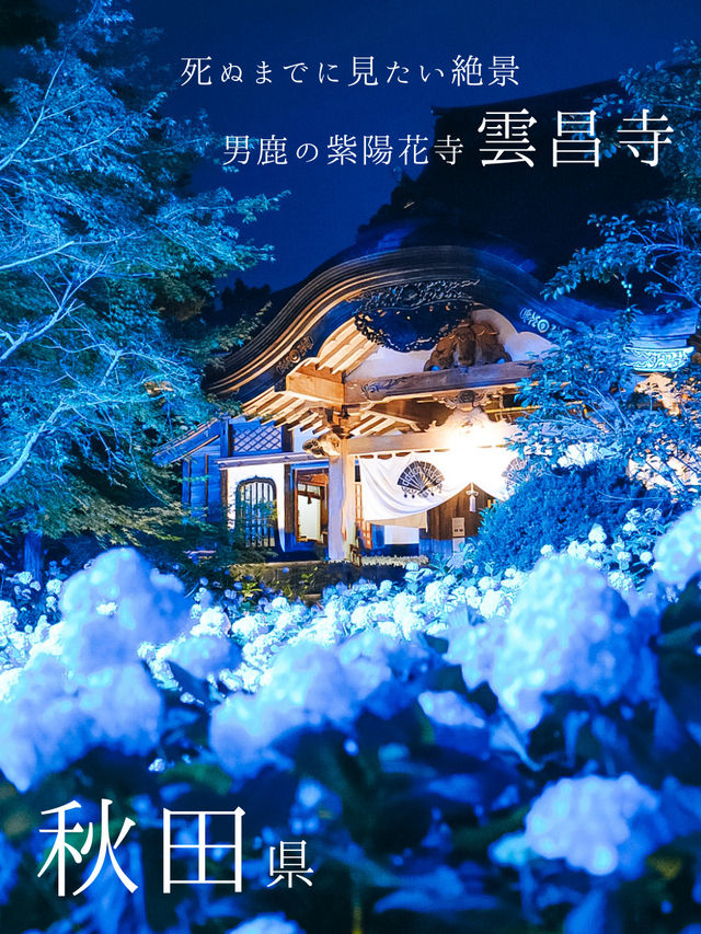 ここ知ってる？？【死ぬまでに見たい絶景】男鹿の紫陽花寺　雲昌寺🫧🫧