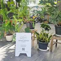 Baan Orpor คาเฟ่มัทฉะลับ