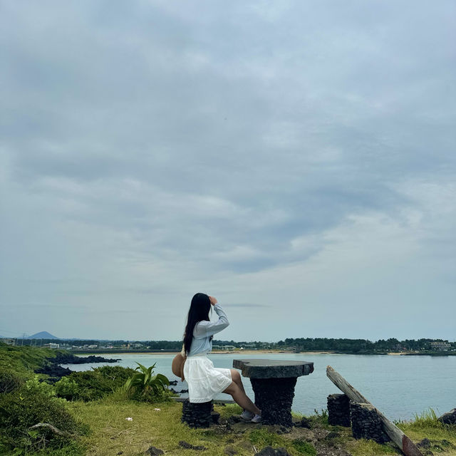 바다와 수국을 함께 담을 수 있는 이곳 ✨
