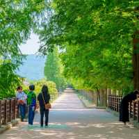 아직 덜 유명한 경주 포토스팟