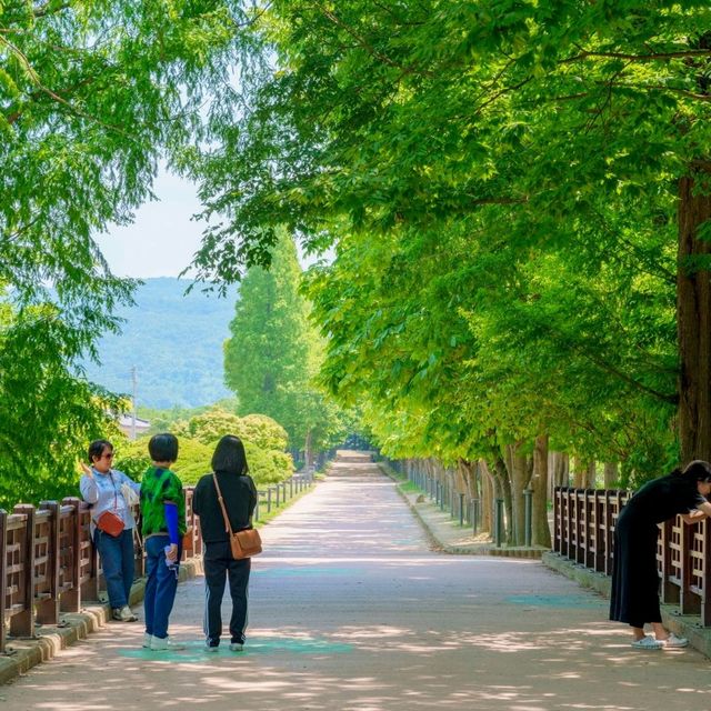 아직 덜 유명한 경주 포토스팟