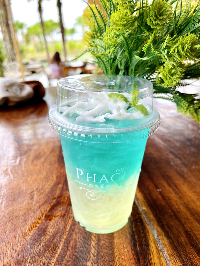 Phachi Cafe คาเฟ่ธรรมชาติในอยุธยา