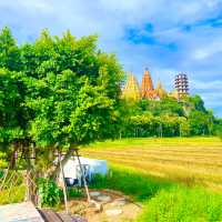 คาเฟ่วิววัดถ้ำเสือ