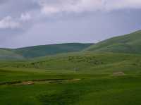 An Exhilarating Drive Across Litang Grassland