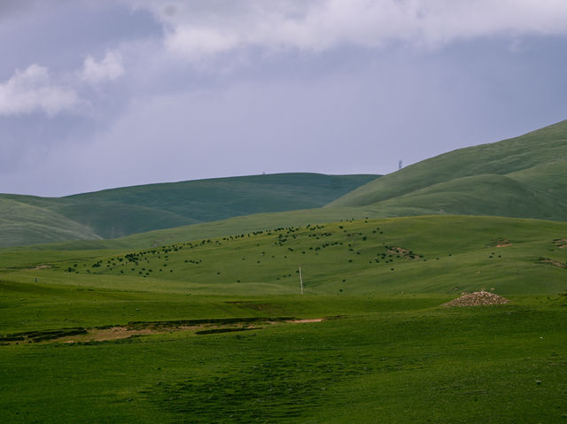 An Exhilarating Drive Across Litang Grassland