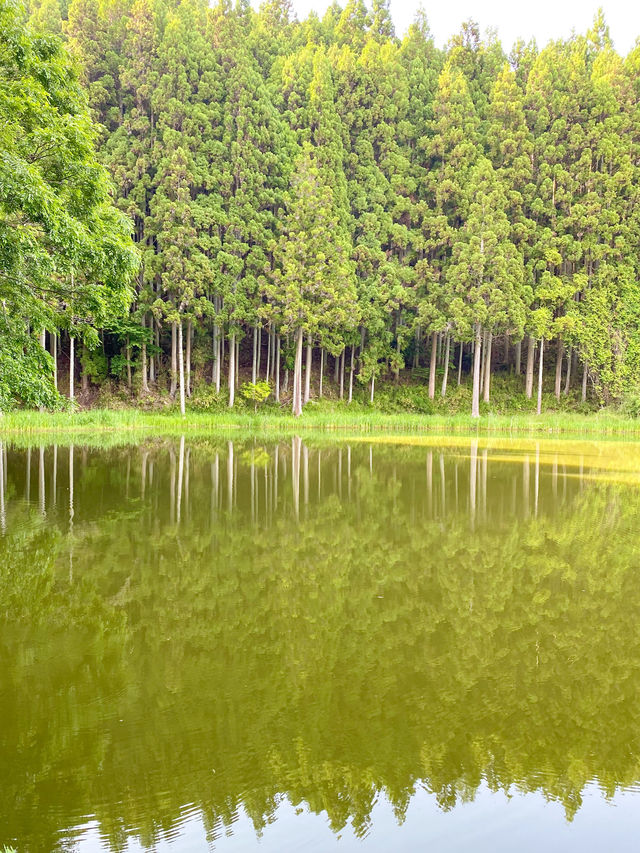  【奈良】奈良のウユニ塩湖👀？？絶景スポット：龍王ヶ渕