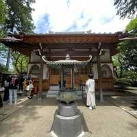 東京另類探貓行程 - 招財貓神社 「豪德寺」