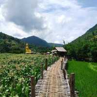 เที่ยวเมืองรองไป "แพร่" กันเถอะ