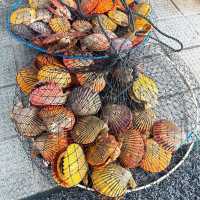 【佐伯】魚の町で新鮮な魚を堪能✨