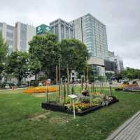 일본여행 삿포로 오도리 공원 大通公園