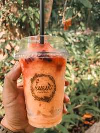 คาเฟ่ในหมง ธรรมชาติ บรรยากาศดี@ระนอง
