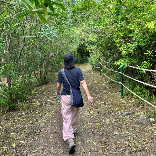 제주여행🏝️ 열네번째 오름, 꽃과 허브로 가득한 모구리오름🌿