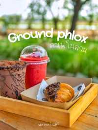 Ground Phlox 🌳