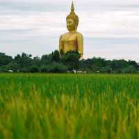 ไหว้พระ ทำบุญ วัดม่วง อ่างทอง